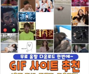 GIF 사이트 추천 TOP 4 | 무료 움짤 다운로드
