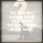 카드 결제 택시 전화번호 지역별 안내 | 콜택시 카드결제 가능업체 | 앱 호출 서비스