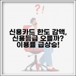 신용카드 한도 줄여달라고 요청하면 신용등급 올라가나요 | 카드 한도 감액 | 신용평가 | 이용률 | 등급 영향