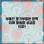 등기부등본이란 무엇인가 | 등기부등본 개념 및 활용법