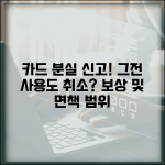 신용카드 분실신고 했는데 그 전 사용내역도 취소되나요 | 카드 분실 | 부정사용 | 면책 범위 | 신고 시점 | 보상