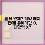 월세 연체 계약 해지 통보 시 유예기간과 대항력 상실