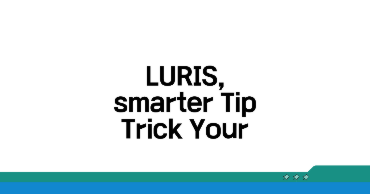 더 똑똑하게 LURIS 이용하기