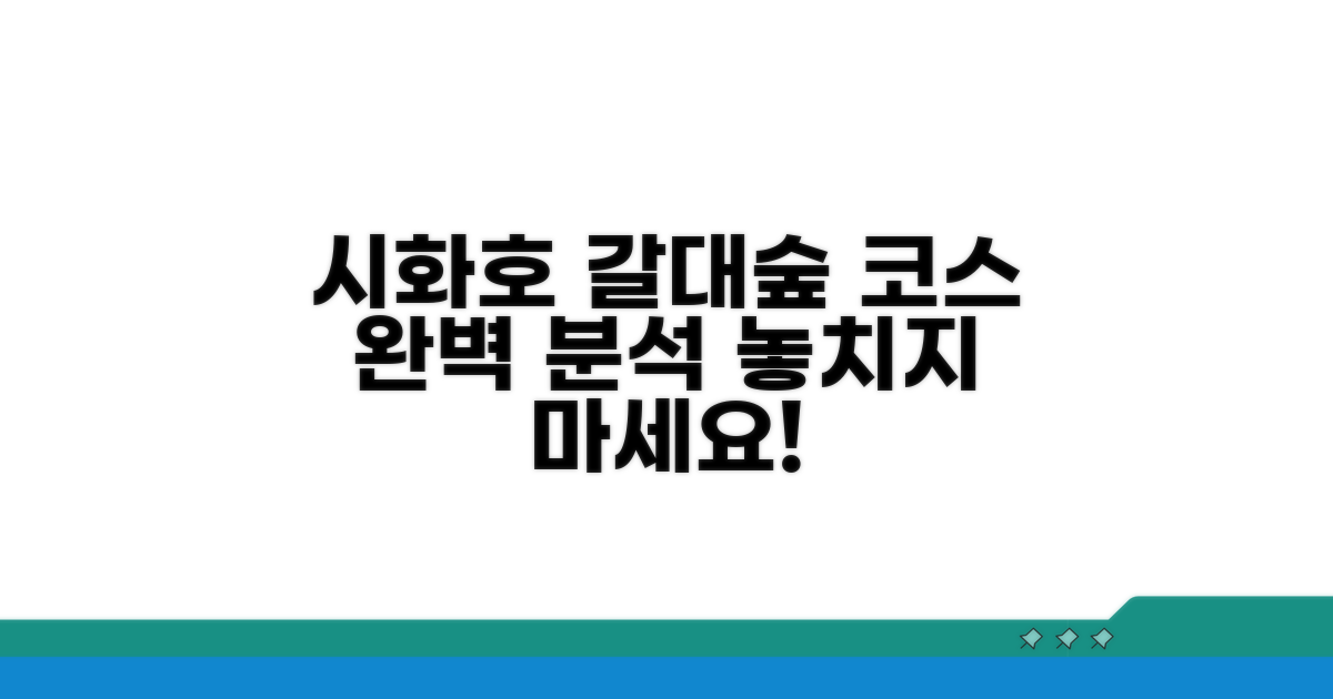 시화호 갈대습지 코스 완벽 가이드