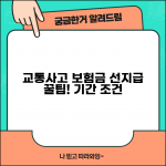 교통사고 치료비 선지급 기간 한도 | 자동차보험 치료비 신속 지급 조건 및 한도 안내