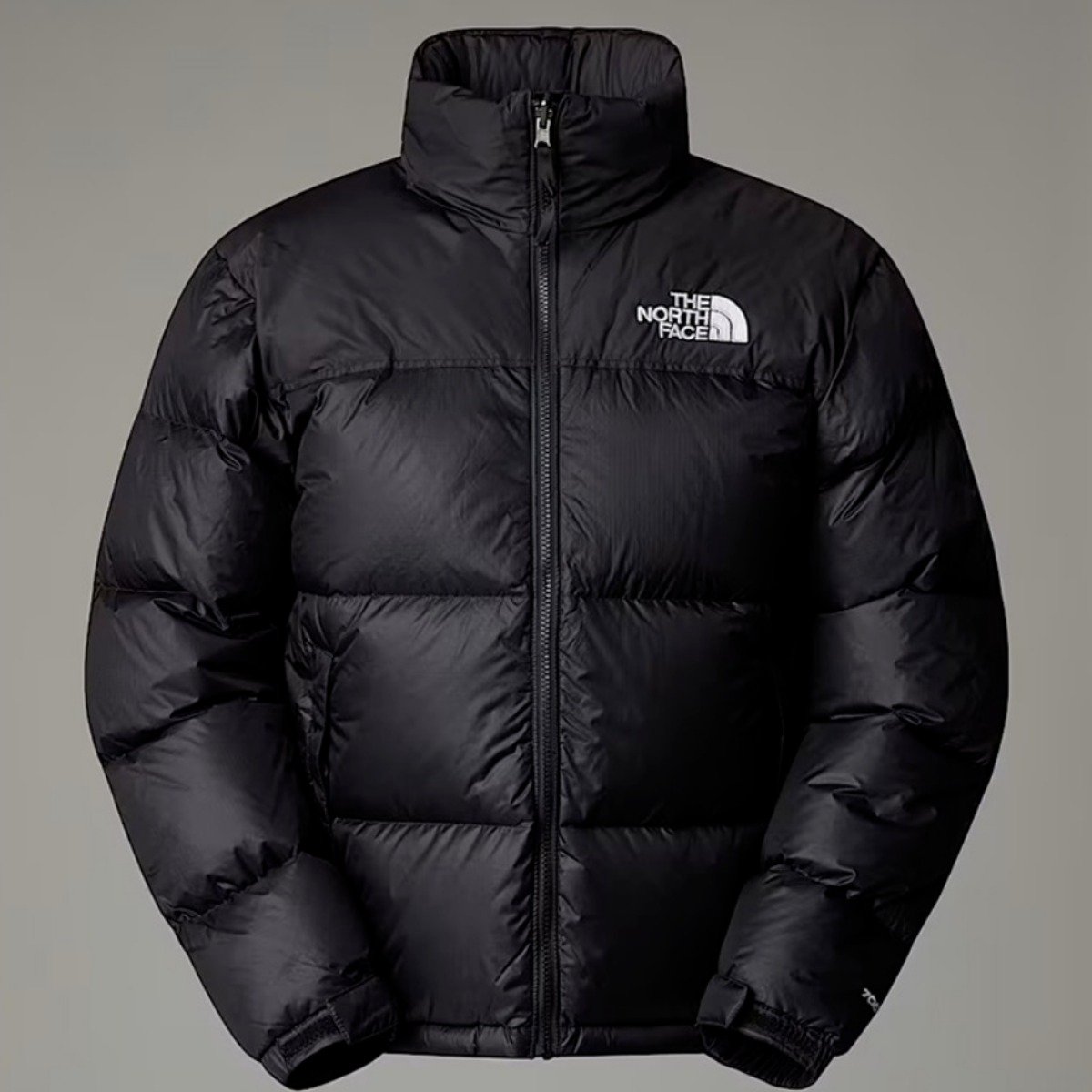 노스페이스 THE NORTH FACE 1996 레트로 눕시 패딩 필파워 700 해외판쿠폰할인 상세 이미지 1