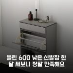 블린 600 낮은 신발장 한 달 써보니 정말 만족해요 블린 600 낮은 신발장 한 달 써보니 정말 만족해요